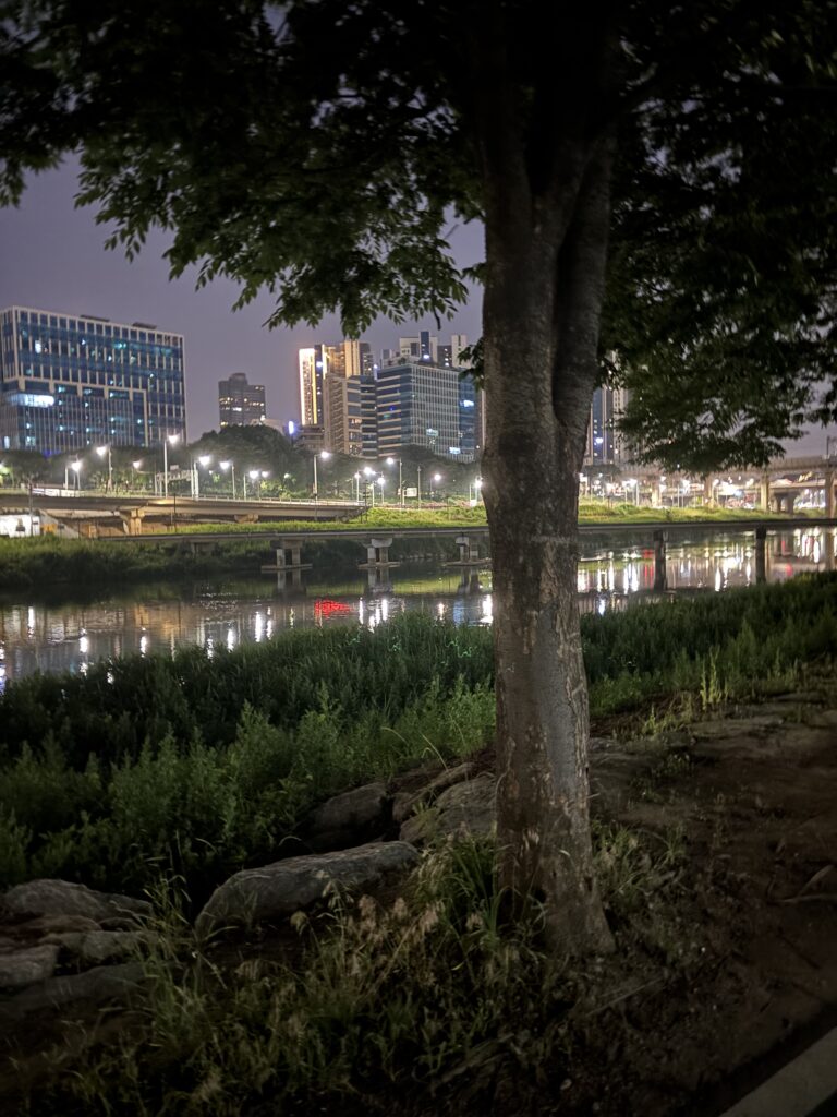 한강 러닝코스 한강 야간 러닝시 볼 수 있는 풍경이다.